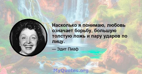 Насколько я понимаю, любовь означает борьбу, большую толстую ложь и пару ударов по лицу.