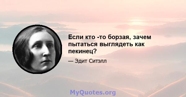 Если кто -то борзая, зачем пытаться выглядеть как пекинец?