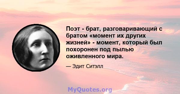 Поэт - брат, разговаривающий с братом «момент их других жизней» - момент, который был похоронен под пылью оживленного мира.