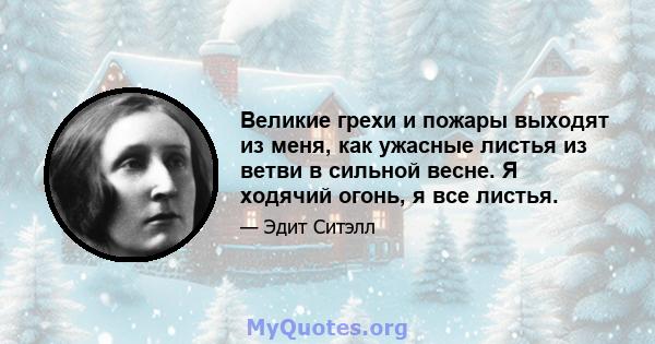 Великие грехи и пожары выходят из меня, как ужасные листья из ветви в сильной весне. Я ходячий огонь, я все листья.