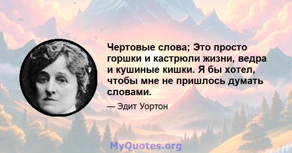 Чертовые слова; Это просто горшки и кастрюли жизни, ведра и кушиные кишки. Я бы хотел, чтобы мне не пришлось думать словами.