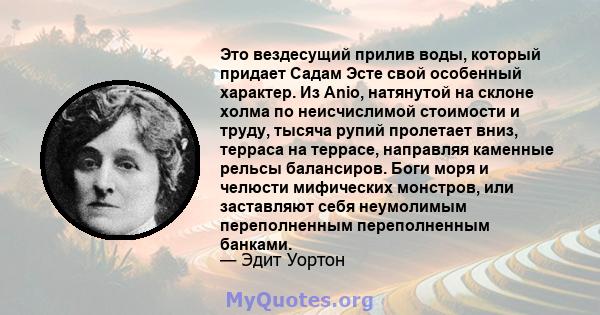 Это вездесущий прилив воды, который придает Садам Эсте свой особенный характер. Из Anio, натянутой на склоне холма по неисчислимой стоимости и труду, тысяча рупий пролетает вниз, терраса на террасе, направляя каменные