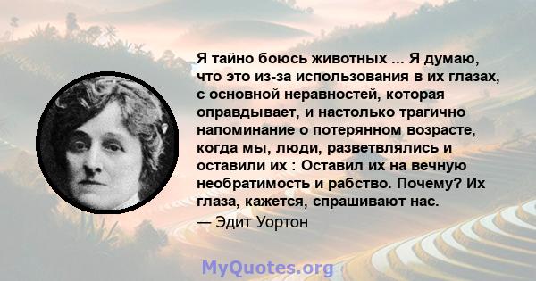 Я тайно боюсь животных ... Я думаю, что это из-за использования в их глазах, с основной неравностей, которая оправдывает, и настолько трагично напоминание о потерянном возрасте, когда мы, люди, разветвлялись и оставили