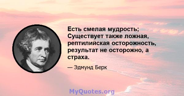 Есть смелая мудрость; Существует также ложная, рептилийская осторожность, результат не осторожно, а страха.