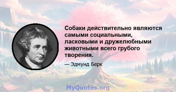 Собаки действительно являются самыми социальными, ласковыми и дружелюбными животными всего грубого творения.