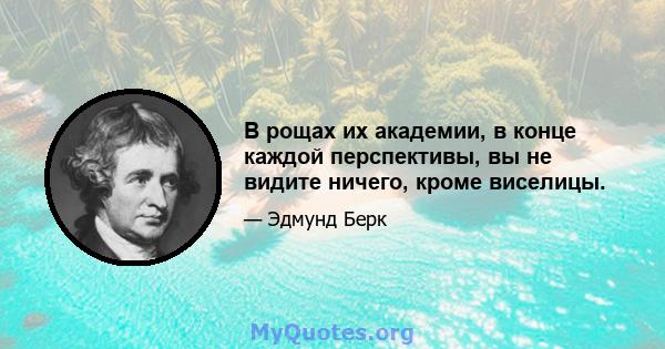 В рощах их академии, в конце каждой перспективы, вы не видите ничего, кроме виселицы.