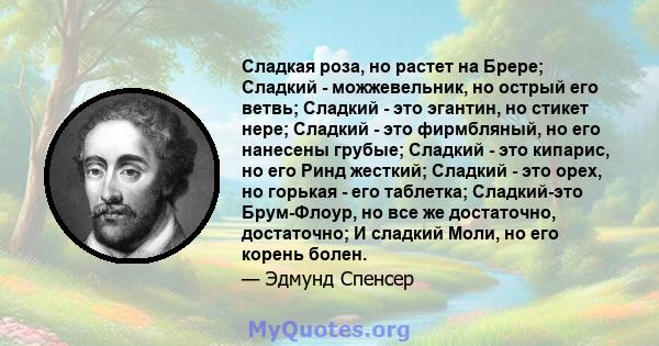 Сладкая роза, но растет на Брере; Сладкий - можжевельник, но острый его ветвь; Сладкий - это эгантин, но стикет нере; Сладкий - это фирмбляный, но его нанесены грубые; Сладкий - это кипарис, но его Ринд жесткий; Сладкий 