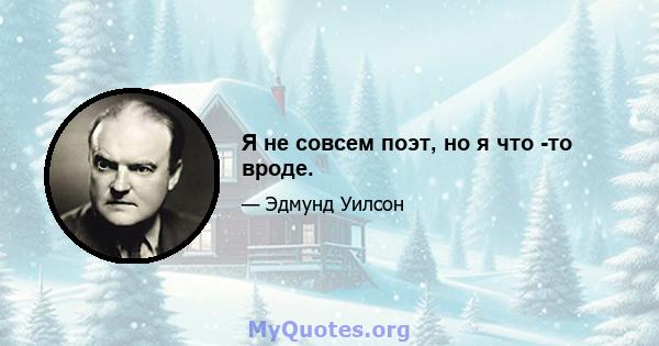 Я не совсем поэт, но я что -то вроде.