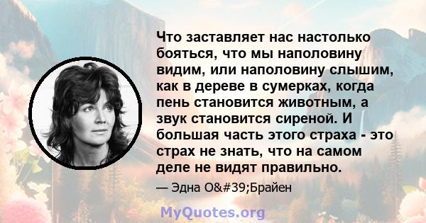 Что заставляет нас настолько бояться, что мы наполовину видим, или наполовину слышим, как в дереве в сумерках, когда пень становится животным, а звук становится сиреной. И большая часть этого страха - это страх не