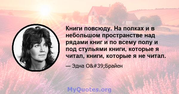 Книги повсюду. На полках и в небольшом пространстве над рядами книг и по всему полу и под стульями книги, которые я читал, книги, которые я не читал.