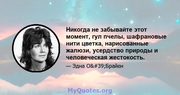 Никогда не забывайте этот момент, гул пчелы, шафрановые нити цветка, нарисованные жалюзи, усердство природы и человеческая жестокость.