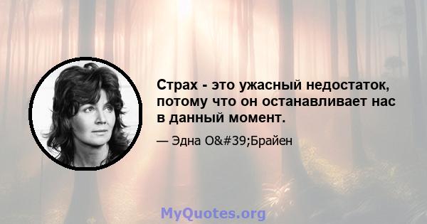 Страх - это ужасный недостаток, потому что он останавливает нас в данный момент.