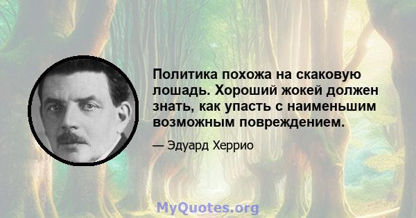 Политика похожа на скаковую лошадь. Хороший жокей должен знать, как упасть с наименьшим возможным повреждением.