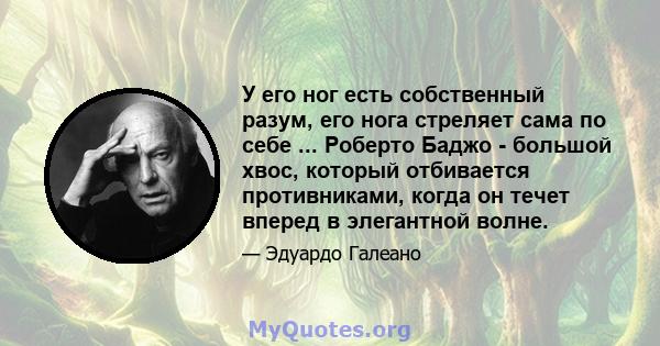 У его ног есть собственный разум, его нога стреляет сама по себе ... Роберто Баджо - большой хвос, который отбивается противниками, когда он течет вперед в элегантной волне.