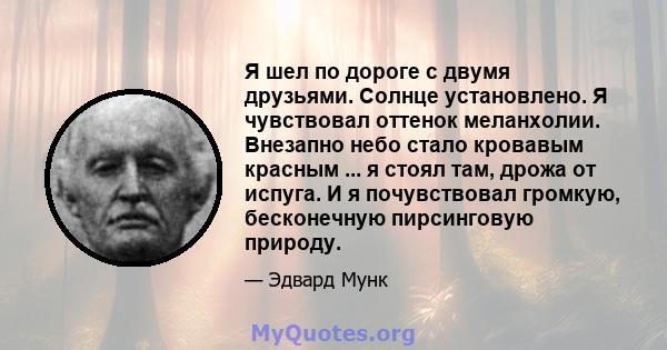 Я шел по дороге с двумя друзьями. Солнце установлено. Я чувствовал оттенок меланхолии. Внезапно небо стало кровавым красным ... я стоял там, дрожа от испуга. И я почувствовал громкую, бесконечную пирсинговую природу.