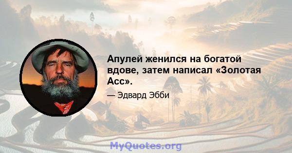 Апулей женился на богатой вдове, затем написал «Золотая Асс».