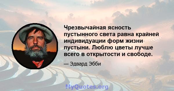 Чрезвычайная ясность пустынного света равна крайней индивидуации форм жизни пустыни. Люблю цветы лучше всего в открытости и свободе.