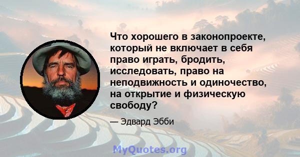 Что хорошего в законопроекте, который не включает в себя право играть, бродить, исследовать, право на неподвижность и одиночество, на открытие и физическую свободу?