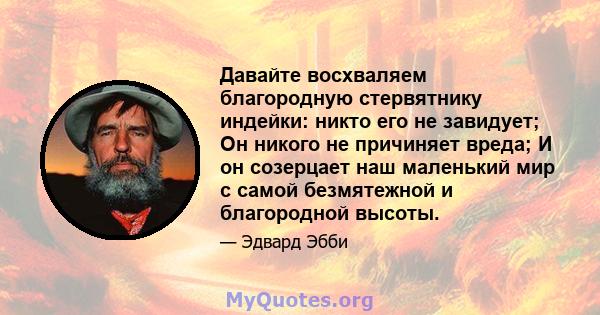 Давайте восхваляем благородную стервятнику индейки: никто его не завидует; Он никого не причиняет вреда; И он созерцает наш маленький мир с самой безмятежной и благородной высоты.