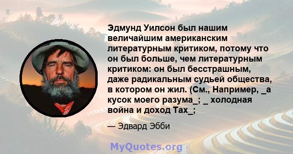 Эдмунд Уилсон был нашим величайшим американским литературным критиком, потому что он был больше, чем литературным критиком: он был бесстрашным, даже радикальным судьей общества, в котором он жил. (См., Например, _a