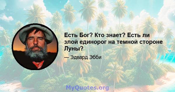 Есть Бог? Кто знает? Есть ли злой единорог на темной стороне Луны?