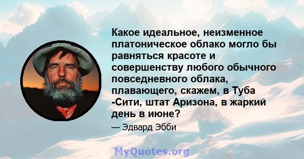 Какое идеальное, неизменное платоническое облако могло бы равняться красоте и совершенству любого обычного повседневного облака, плавающего, скажем, в Туба -Сити, штат Аризона, в жаркий день в июне?