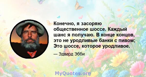 Конечно, я засоряю общественное шоссе. Каждый шанс я получаю. В конце концов, это не уродливые банки с пивом; Это шоссе, которое уродливое.