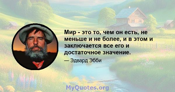 Мир - это то, чем он есть, не меньше и не более, и в этом и заключается все его и достаточное значение.