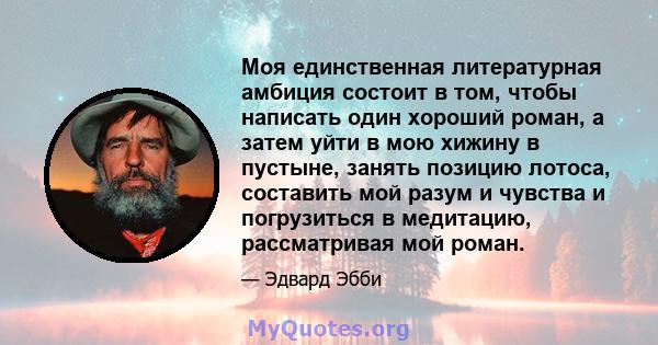 Моя единственная литературная амбиция состоит в том, чтобы написать один хороший роман, а затем уйти в мою хижину в пустыне, занять позицию лотоса, составить мой разум и чувства и погрузиться в медитацию, рассматривая