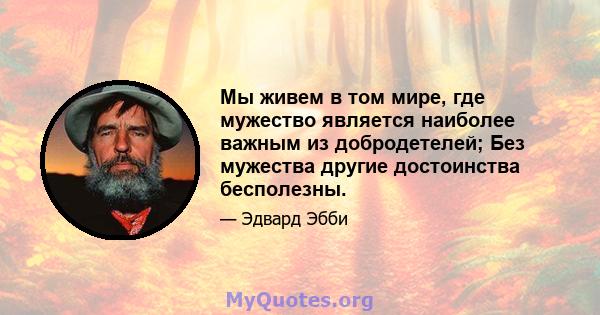 Мы живем в том мире, где мужество является наиболее важным из добродетелей; Без мужества другие достоинства бесполезны.