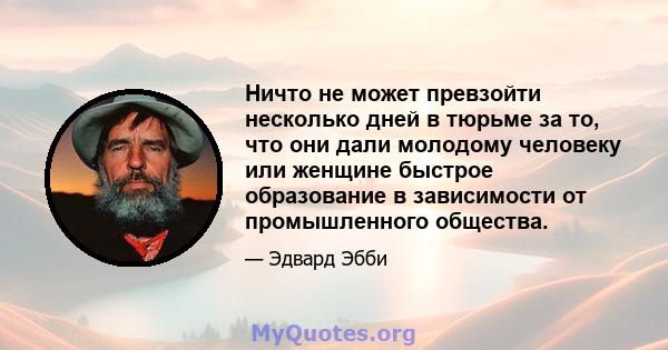 Ничто не может превзойти несколько дней в тюрьме за то, что они дали молодому человеку или женщине быстрое образование в зависимости от промышленного общества.