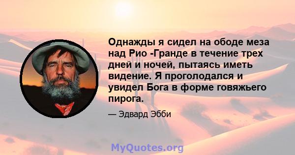 Однажды я сидел на ободе меза над Рио -Гранде в течение трех дней и ночей, пытаясь иметь видение. Я проголодался и увидел Бога в форме говяжьего пирога.