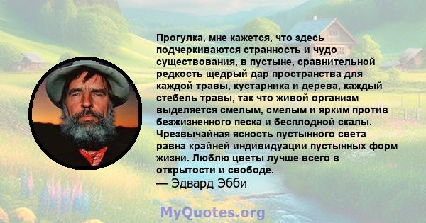 Прогулка, мне кажется, что здесь подчеркиваются странность и чудо существования, в пустыне, сравнительной редкость щедрый дар пространства для каждой травы, кустарника и дерева, каждый стебель травы, так что живой