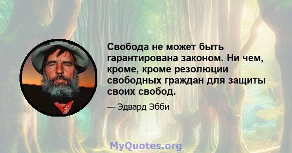 Свобода не может быть гарантирована законом. Ни чем, кроме, кроме резолюции свободных граждан для защиты своих свобод.