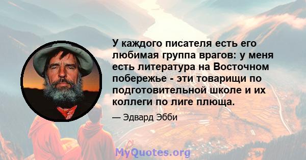 У каждого писателя есть его любимая группа врагов: у меня есть литература на Восточном побережье - эти товарищи по подготовительной школе и их коллеги по лиге плюща.