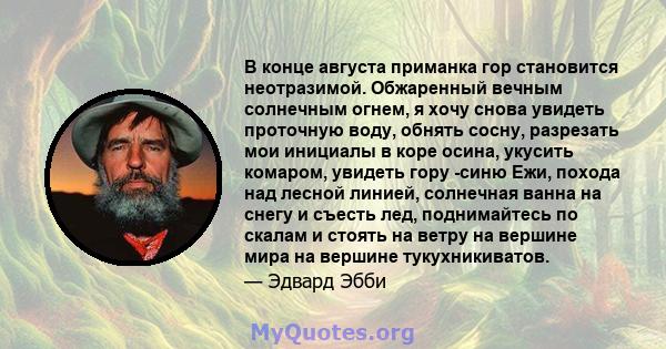 В конце августа приманка гор становится неотразимой. Обжаренный вечным солнечным огнем, я хочу снова увидеть проточную воду, обнять сосну, разрезать мои инициалы в коре осина, укусить комаром, увидеть гору -синю Ежи,