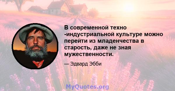 В современной техно -индустриальной культуре можно перейти из младенчества в старость, даже не зная мужественности.