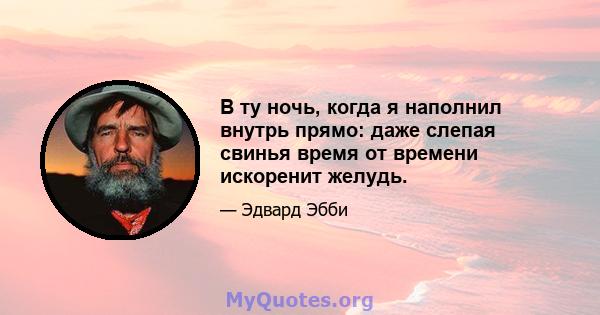 В ту ночь, когда я наполнил внутрь прямо: даже слепая свинья время от времени искоренит желудь.