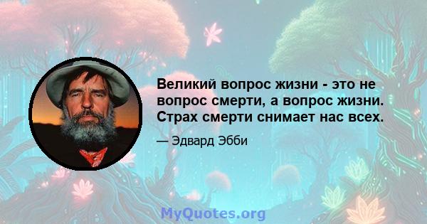 Великий вопрос жизни - это не вопрос смерти, а вопрос жизни. Страх смерти снимает нас всех.