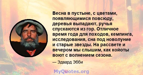 Весна в пустыне, с цветами, появляющимися повсюду, деревья выпадают, ручья спускаются из гор. Отличное время года для походов, кемпинга, исследования, сна под новолуние и старые звезды. На рассвете и вечером мы слышим,