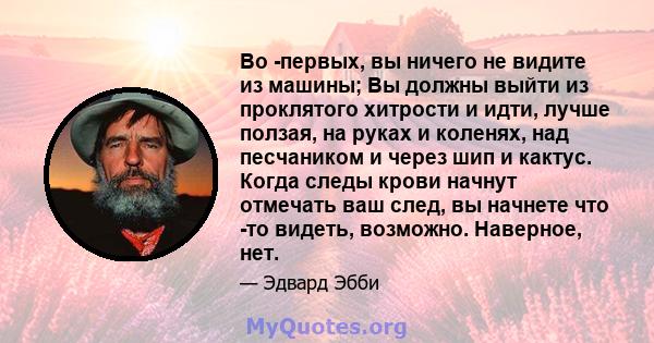 Во -первых, вы ничего не видите из машины; Вы должны выйти из проклятого хитрости и идти, лучше ползая, на руках и коленях, над песчаником и через шип и кактус. Когда следы крови начнут отмечать ваш след, вы начнете что 