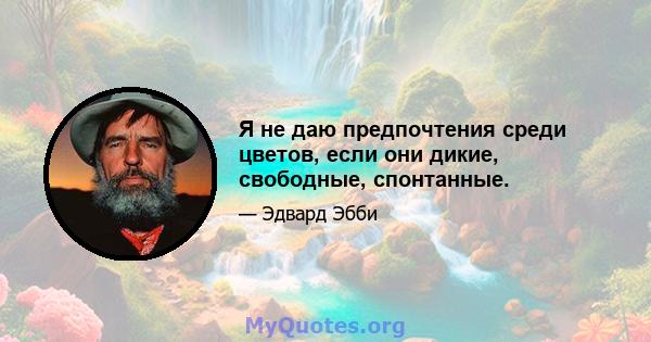 Я не даю предпочтения среди цветов, если они дикие, свободные, спонтанные.