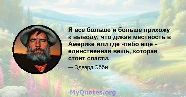 Я все больше и больше прихожу к выводу, что дикая местность в Америке или где -либо еще - единственная вещь, которая стоит спасти.