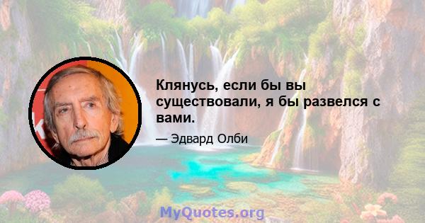 Клянусь, если бы вы существовали, я бы развелся с вами.