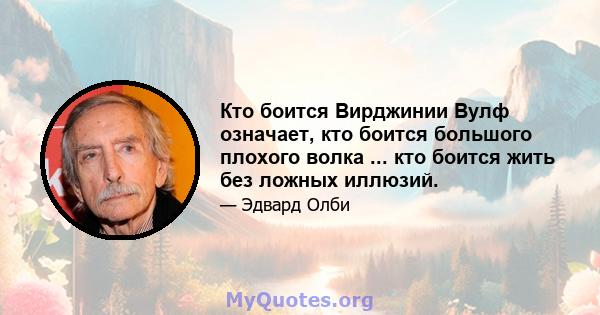 Кто боится Вирджинии Вулф означает, кто боится большого плохого волка ... кто боится жить без ложных иллюзий.