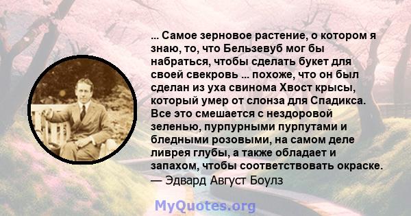 ... Самое зерновое растение, о котором я знаю, то, что Бельзевуб мог бы набраться, чтобы сделать букет для своей свекровь ... похоже, что он был сделан из уха свинома Хвост крысы, который умер от слонза для Спадикса.