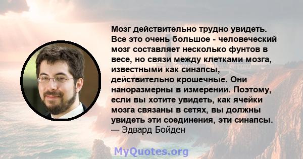 Мозг действительно трудно увидеть. Все это очень большое - человеческий мозг составляет несколько фунтов в весе, но связи между клетками мозга, известными как синапсы, действительно крошечные. Они наноразмерны в