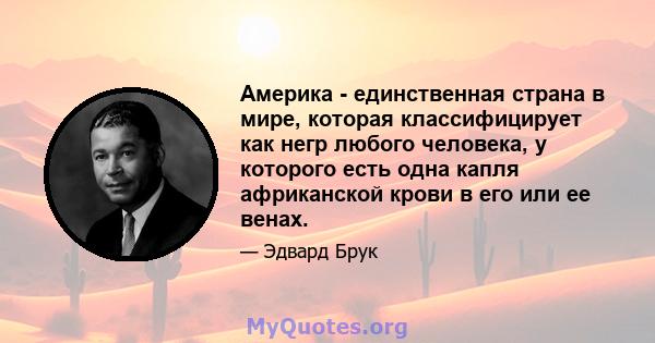 Америка - единственная страна в мире, которая классифицирует как негр любого человека, у которого есть одна капля африканской крови в его или ее венах.