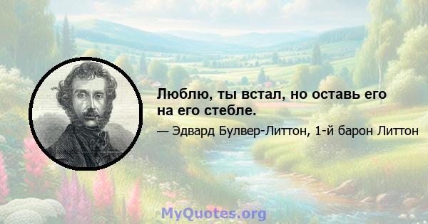 Люблю, ты встал, но оставь его на его стебле.