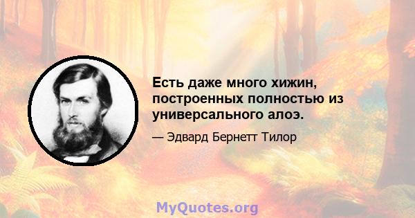 Есть даже много хижин, построенных полностью из универсального алоэ.